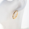 Brass Micro Pave Cubic Zirconia Hoop Earrings FS-WGC6509-02-3