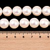 Electroplated Shell Pearl Beads Strands BSHE-C011-01D-4