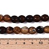 Dyed Natural Agate Beads Strands G-T144-50A-02-5