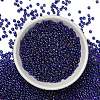 FGB 8/0 Grade A Round Glass Seed Beads SEED-Q010-3mm-F544-5