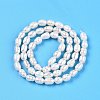 Natural Cultured Freshwater Pearl Beads Strands LS-PEAR-N012-04S-3