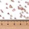 Glass Seed Beads SEED-S042-13A-17-4