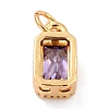 Real 18K Gold Plated Brass Inlaid Cubic Zirconia Charms LS-ZIRC-L100-075G-01-3