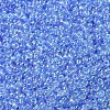 MIYUKI Round Rocailles Beads X-SEED-G007-RR0299-3