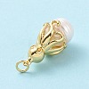 Shell Pearl Pendants KK-C004-10G-4