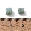 Opaque Colours Glass Seed Beads GL-CBAC3F6-02D-3