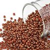 TOHO Round Seed Beads SEED-TR11-1707-1
