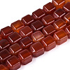 Natural Carnelian(Dyed & Heated) Beads Strands G-N353-03A-03-2