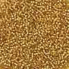TOHO Round Seed Beads X-SEED-TR08-0022BF-2