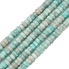Natural Amazonite Beads Strands G-L654-I14-01-2