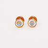 Brass Micro Pave Cubic Zirconia Hoop Earrings FS-WG3CB04-02-3