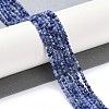 Natural Sodalite Beads Strands G-G139-A07-02-2