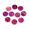 Spray Painted Natural Akoya Shell Disc Charms SHEL-N038-22-1