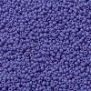 MIYUKI Round Rocailles Beads SEED-X0055-RR0417L-3