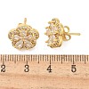 Rack Plating Brass Micro Pave Clear Cubic Zirconia Stud Earrings EJEW-H149-01G-2