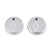 Non-Tarnish 316 Surgical Stainless Steel Charms STAS-S116-418D-P-2