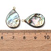 Natural Abalone Shell Pendants SH-CJC0AC7-01C-G-3
