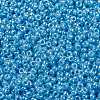 MIYUKI Round Rocailles Beads X-SEED-G009-RR0433-3