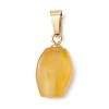 Gradient Color Natural Amber Pendants PALLOY-JF04930-02-3