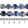 Natural Blue Spot Jasper Beads Strands G-C116-A79-01-5