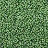 TOHO Round Seed Beads X-SEED-TR08-0407F-2