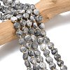 Natural Map Stone Beads Strands G-K389-B84-01-1