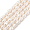 Natural Cultured Freshwater Pearl Beads Strands PEAR-I007-01D-05A-02-2