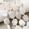 Natural Rainbow Moonstone Beads Strands G-L653-D01-01-1