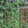 Polyester Plant Trellis Netting for Garden AJEW-WH0609-869-6