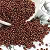 TOHO 8/0 Round Beads SEED-XTR08-1708-1
