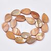 Freshwater Shell Beads Strands SHEL-T014-010C-2