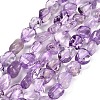 Natural Amethyst Beads Strands G-P568-C04-01-2