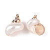 20Pcs Electroplated Natural Sea Shell Pendants SSHEL-PH0001-53-1