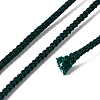 Polyester Braided Cord OCOR-F010-A43-2MM-3