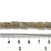 Natural Labradorite Beads Strands G-G085-A25-01-4