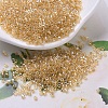 MIYUKI Delica Beads SEED-X0054-DB0099-1