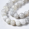 Natural White Moonstone Beads Strands G-N328-51A-01-4