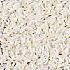 FGB Grade A Glass Round Bugle Beads SEED-Q040-06A-02-3