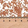 MIYUKI Round Rocailles Beads X-SEED-G007-RR4207-3