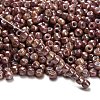 TOHO 6/0 Round Beads SEED-XTR06-1203-2