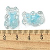 Transparent Acrylic Beads OACR-A027-11A-3