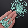 6/0 Glass Seed Beads SEED-T005-14-B25-6