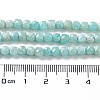 Natural Amazonite Beads Strands G-J400-A07-03-5