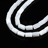 Natural Freshwater Shell Beads Strands X-SHEL-N003-26-A01-3