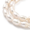 Natural Cultured Freshwater Pearl Beads Strands PEAR-P062-06A-4