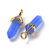 Bullet Glass Pointed Pendants GLAA-K058-02G-06-3