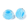 Resin European Beads RESI-Q236-01A-05-2