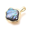 Brass Natural Abalone Shell/Paua Shell Pendants KK-N289-06G-2