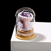 Arch Glass Jar Display Decorations with Natural Amethyst Bouquet Inside PW-WG72796-02-1