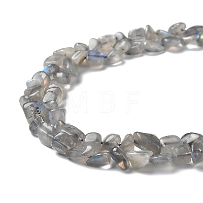 Natural Labradorite Beads Strands G-P497-01A-03-1